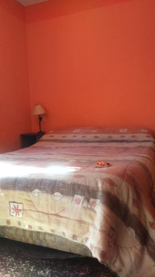 Hostel Internacional Mendoza Esterno foto